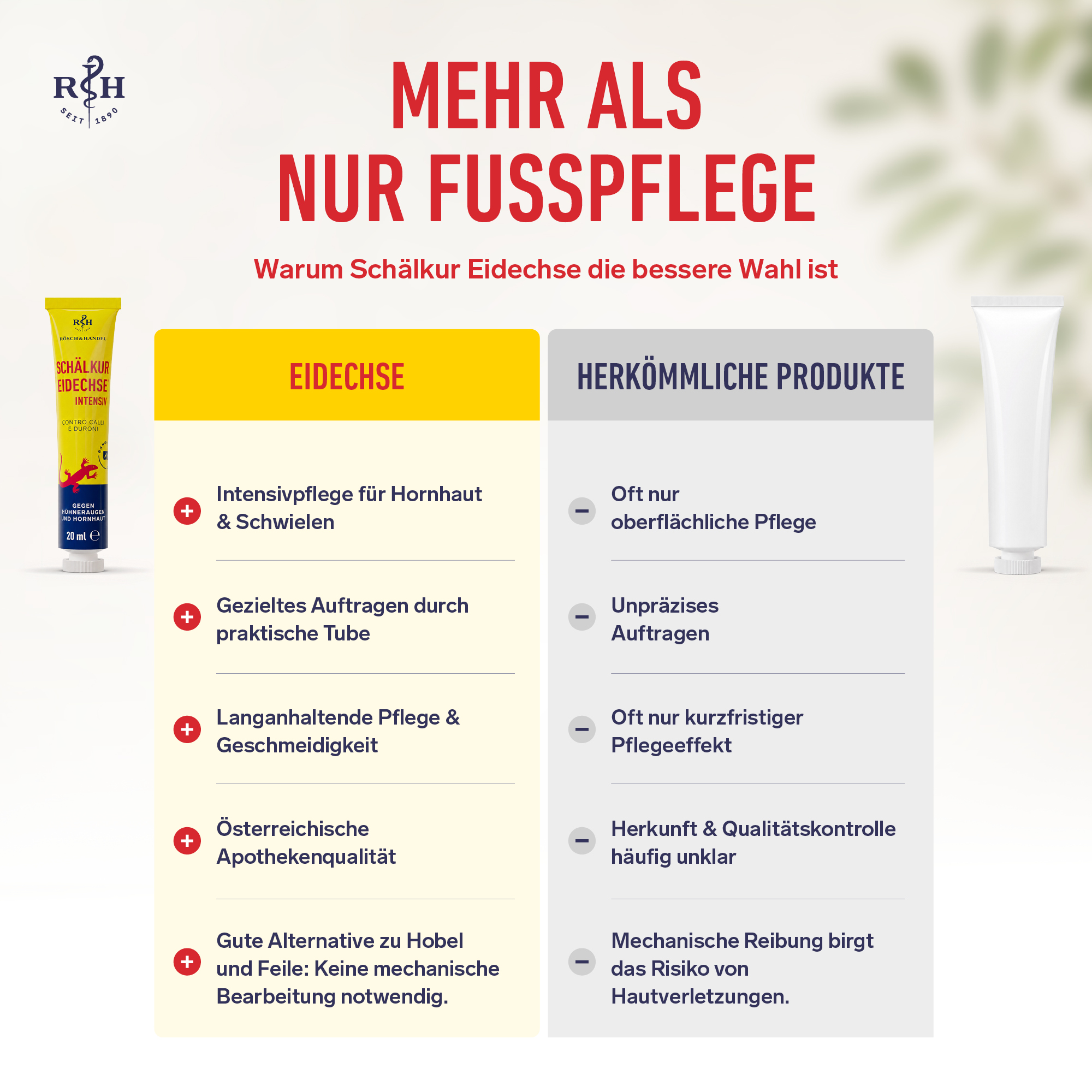 Schälkur Eidechse intensiv